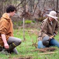 Volunteers plant 1,200 trees in three days in Moretown
