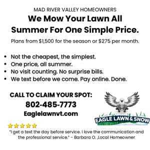 Eagle Land and Snow