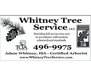Whitney Tree Service