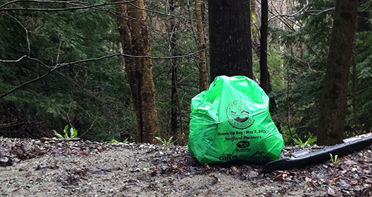 Green-Up bag along roadside. VRFile