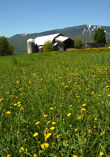 Bragg Farm on Memorial Day with snow still on the mountains. Photo: Sandy Macys