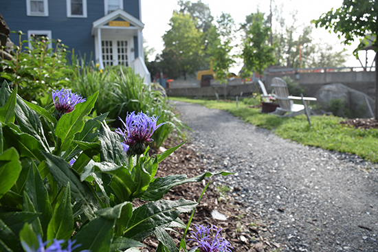 Morning flowers. Photo: Jeff Knight