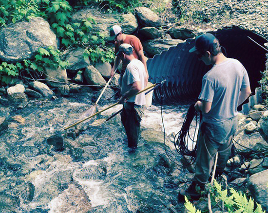 Biologists shock and capture fish to count their numbers and check their size and health. Photo: Lisa Loomis