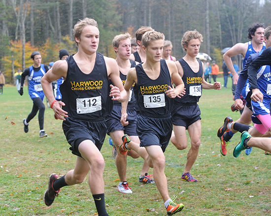 Harwood boys cross country. Photo: Gordon Miller