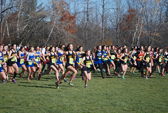 Harwood girls win seventh straight Vermont state cross country title. Photo: Laura Caffry