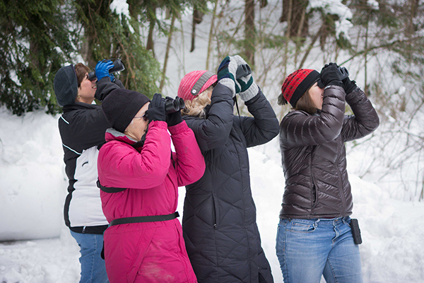 Vermonters with an interest in bird watching, from avid birders to newbies, are invited to take part in the annual Christmas Bird Count, which is happening in Vermont from December 14 to January 5.