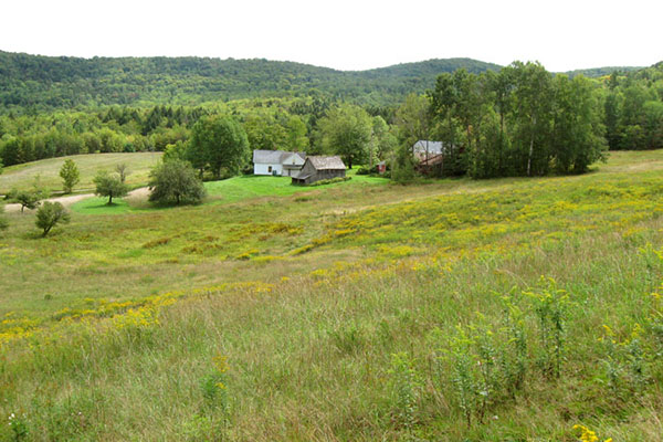 Tenney farm in Fayston. file photo