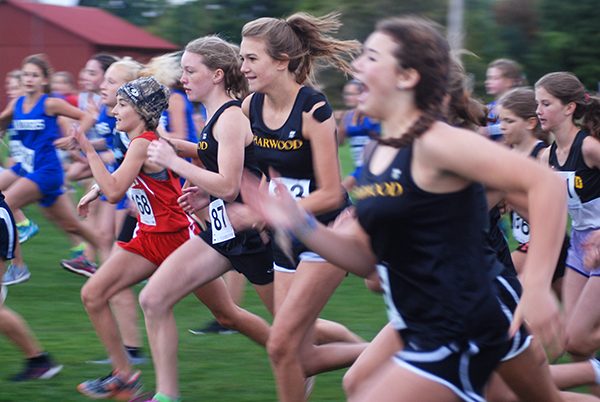 Harwood’s Middle School cross-country girls’ and boys’ teams swept the Randolph Invitational on  September 23. Photo: Alva Ware-Bevacqui