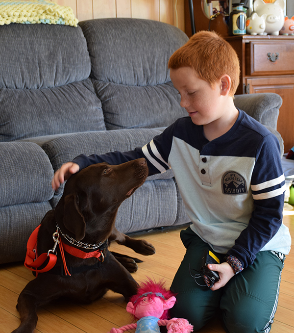 Aiden Heath with his new service dog Angel. Photo: Jeff Knight