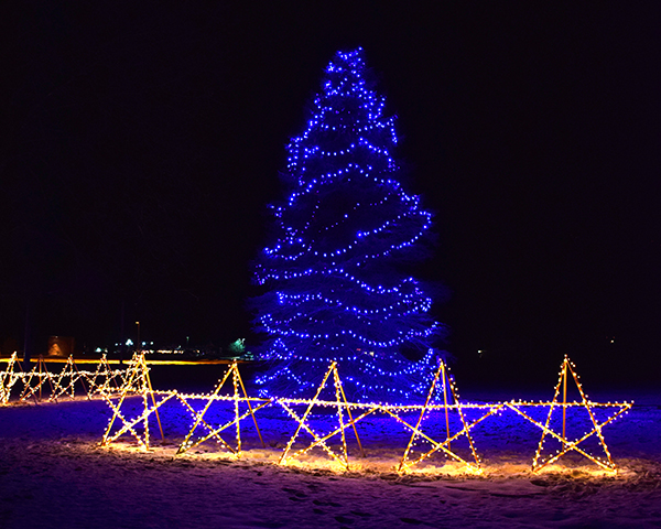 The Memory Tree in Waitsfield. Photo: Jeff Knight