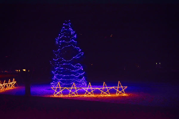 The Memory Tree in Waitsfield. Photo: Jeff Knight