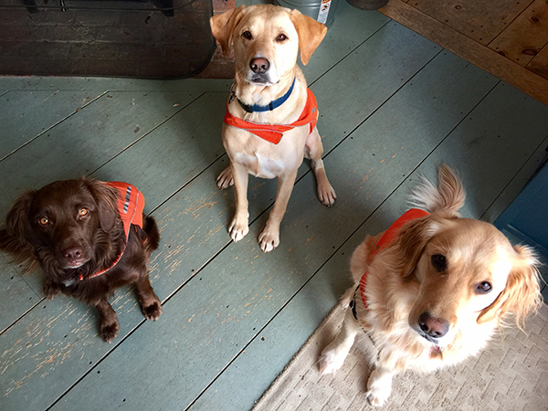 Charlie Brown, Linus, and Lucy. Photo: Rebecca Silbernagel