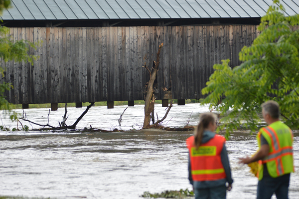 A large tree was washed down the Mad River and impacted and became lodged in the Waitsfield Covered Bridge during flooding in the Mad River Valley July 1, 2017. Photo: Chris Keating
