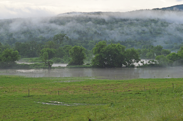 Recent heavy rains have flooded many farm fields. Photo: Chris Keating