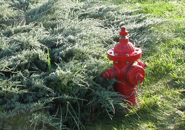 Fire hydrant at Carroll Road in Waitsfield.