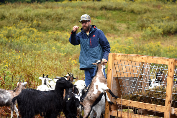 Joe Nagy and goats on his Fayston farm. Photo: Christpher Keating