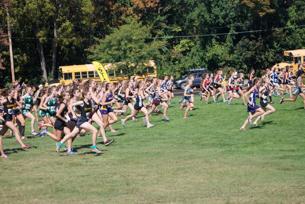 Harwood Girls at the start of the NE Small School Championships, Photo: Laura Caffry