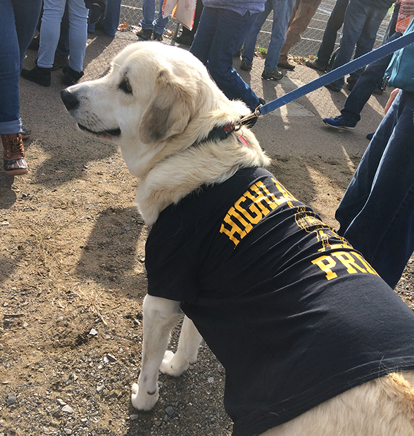 Four legged support for Harwood at the Championship match on Saturday, November 4. Harwood lost 3-2 in overtime. Photo: Jeff Knight