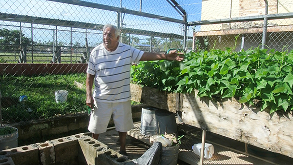 Crispin tending to community plants in the abandoned schoolyard in Anasco