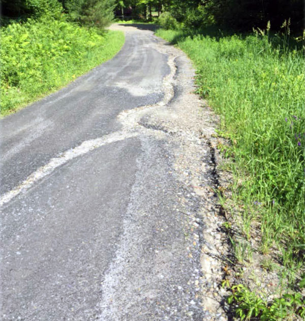 A driveway showing serious erosion problem. Photo: Ira Shadis