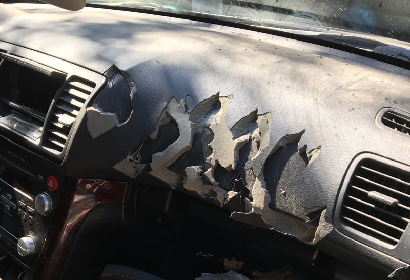 Damage to car in Warren, VT by a bear that was trapped inside. Photo: Chad Barrett