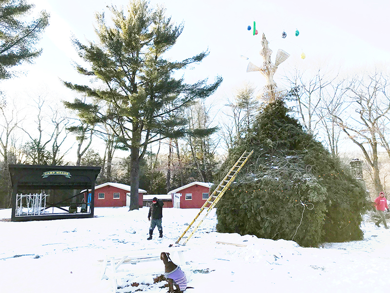 Preparing for the evergreen bonfire at Camp Mead in Middlesex. Photo: Russ Bennett