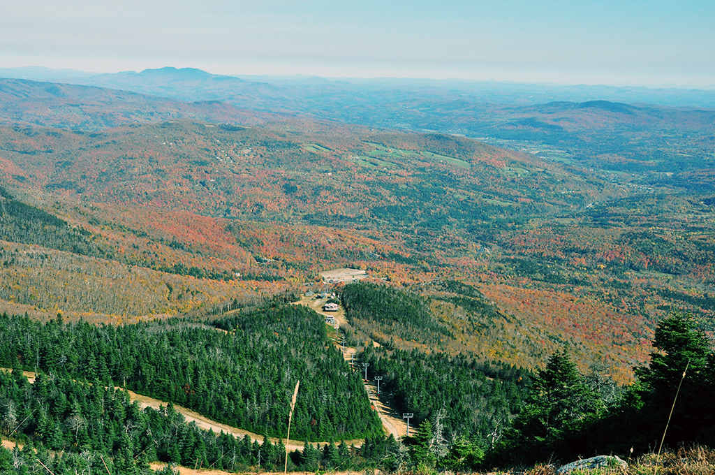 Sugarbush