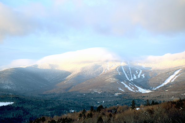 Sugarbush, photo: Jeff Knight