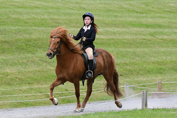 Photo: Ona Kwiatkowski. Spönn frá Efri-Raudalæk and Arianna DeForge competing to win their championship.