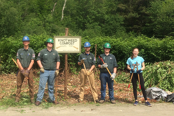 The Vermont Youth Conservation Corps camped in The Valley while working to help eradicate knotweed. At the Sugarbush snowmaking pond they separated knotweed roots from tops at a knotweed dump.