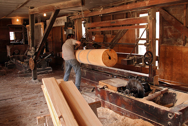 Ward clapboard mill log loading
