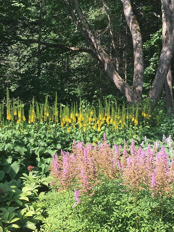 The 2019 Garden Tour takes place August 15 from 9 a.m. to 1 p.m., starting at Yestermorrow in Waitsfield.