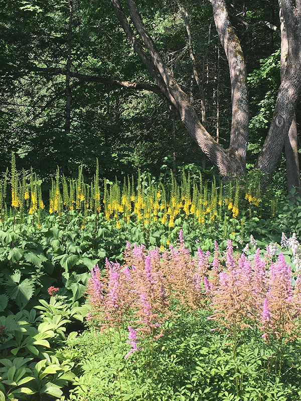 Mad River Valley Garden Tour