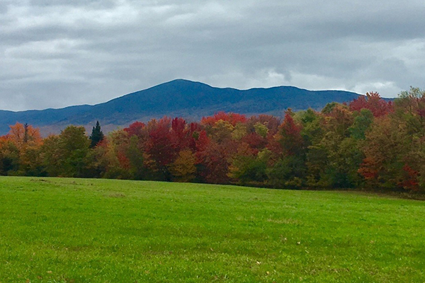 Early foliage on display (2017) below the summit of Mt. Abraham in Lincoln, Vermont.