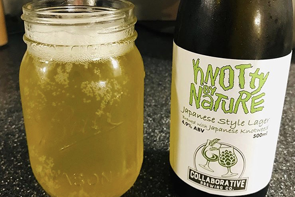 Collaborative Brewing