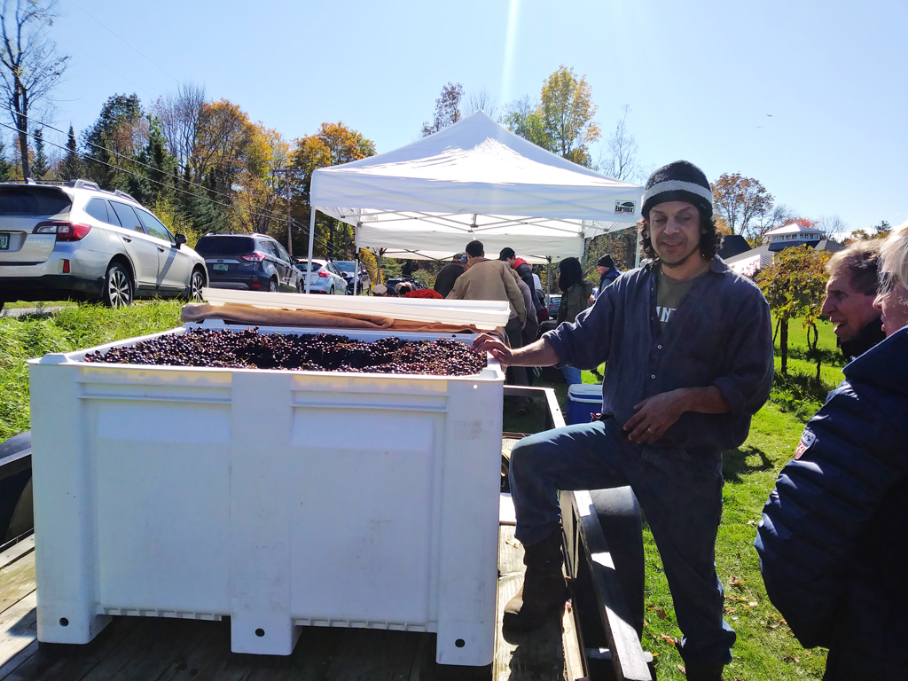 Mad River Vineyard. Photo: Alicia Lorenzo Mad River Vineyard. Photo: Alicia Lorenzo