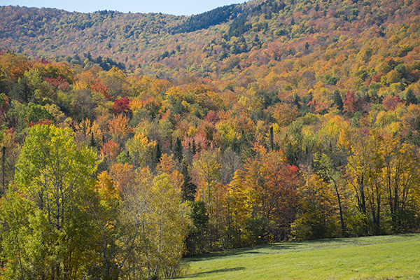 Lincoln Gap, photo: Jeff Knight