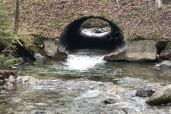 Culvert before replacement. Photo courtesy of FMR.