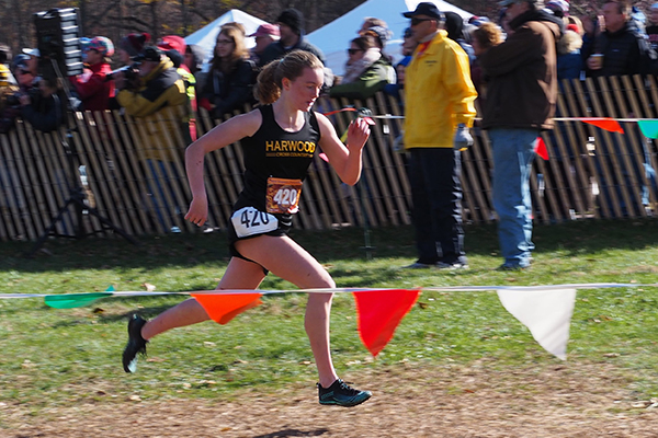 Photo: Ann Zetterstrom. Ava Thurston finishing fifth at the New England XC Championships.