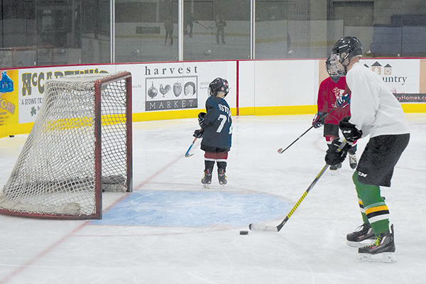 Stowe Arena hockey