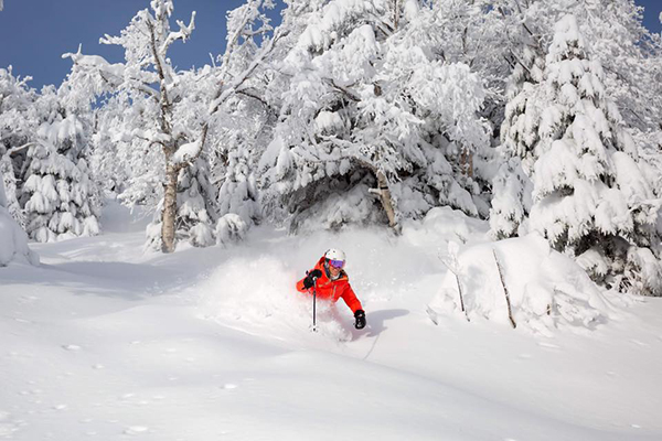  Winter Storm Kade covered the slopes and the roads in the Mad River Valley last week leading to a very busy weekend. Photo courtesy of Sugarbush Resort.