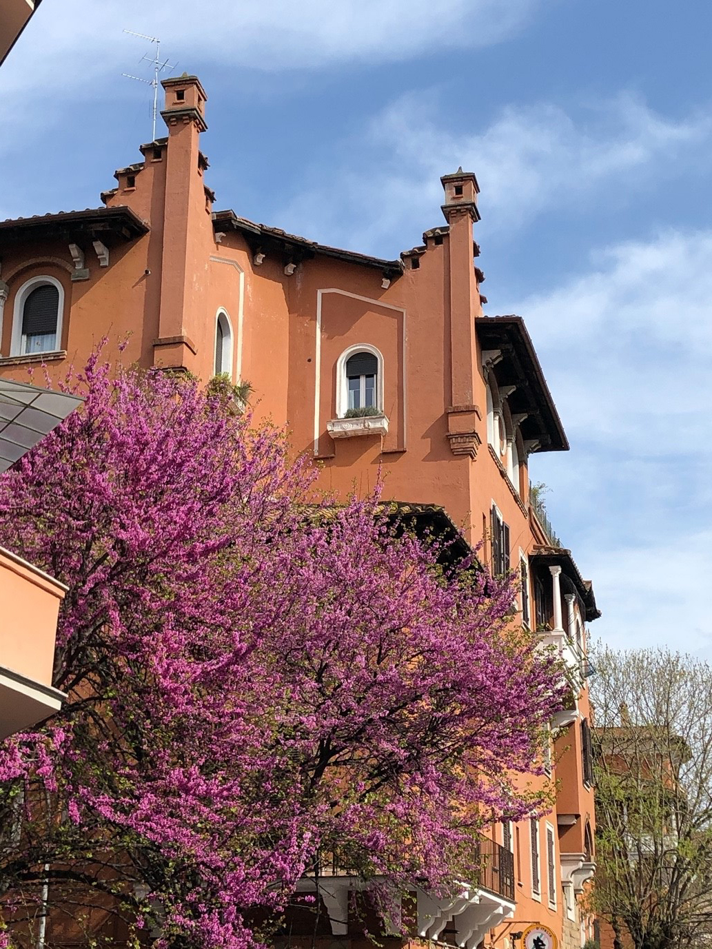 Spring’s purple blooms ignore coronavirus as they offset Garbatella’s iconic architecture.