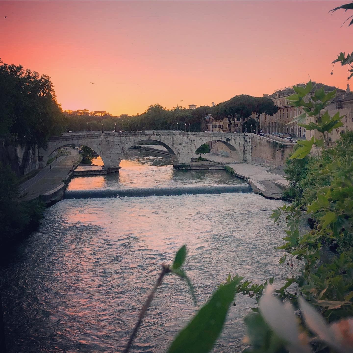 The Tiber and Isola Tiberina at sunset on May 4.