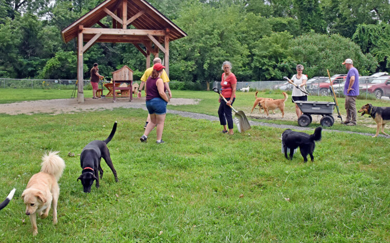 Waterbury Dog Park by Gordon Miller