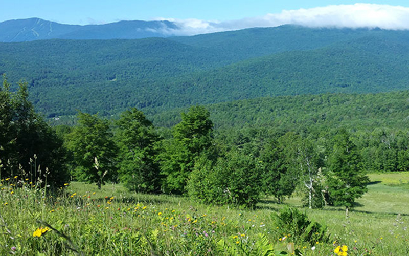 View from the 91-acre high-elevation Boyce Hill Town Forest.