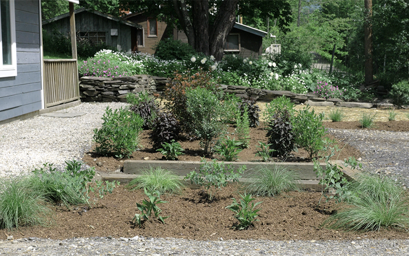 Extra space in a Waitsfield driveway is now a rain garden with native plants. Photo: Ira Shadis.