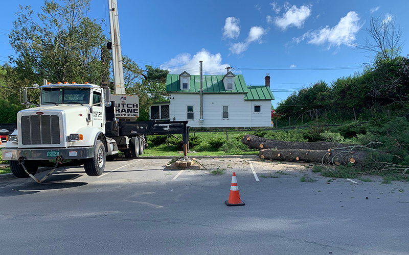 Sentinel tree in Moretown comes down