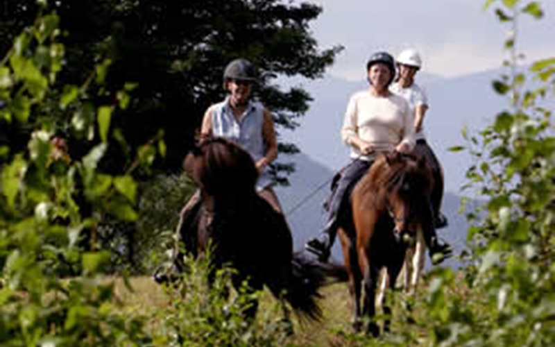 Icelandic Horse Farm seeing more local riders