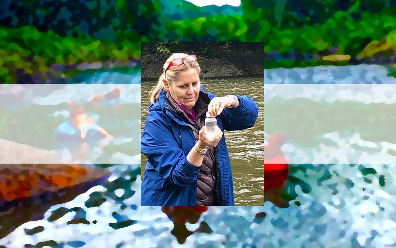 Ruth Lacey collects a sample of water from the Mad River. Photo: Suze Edwards