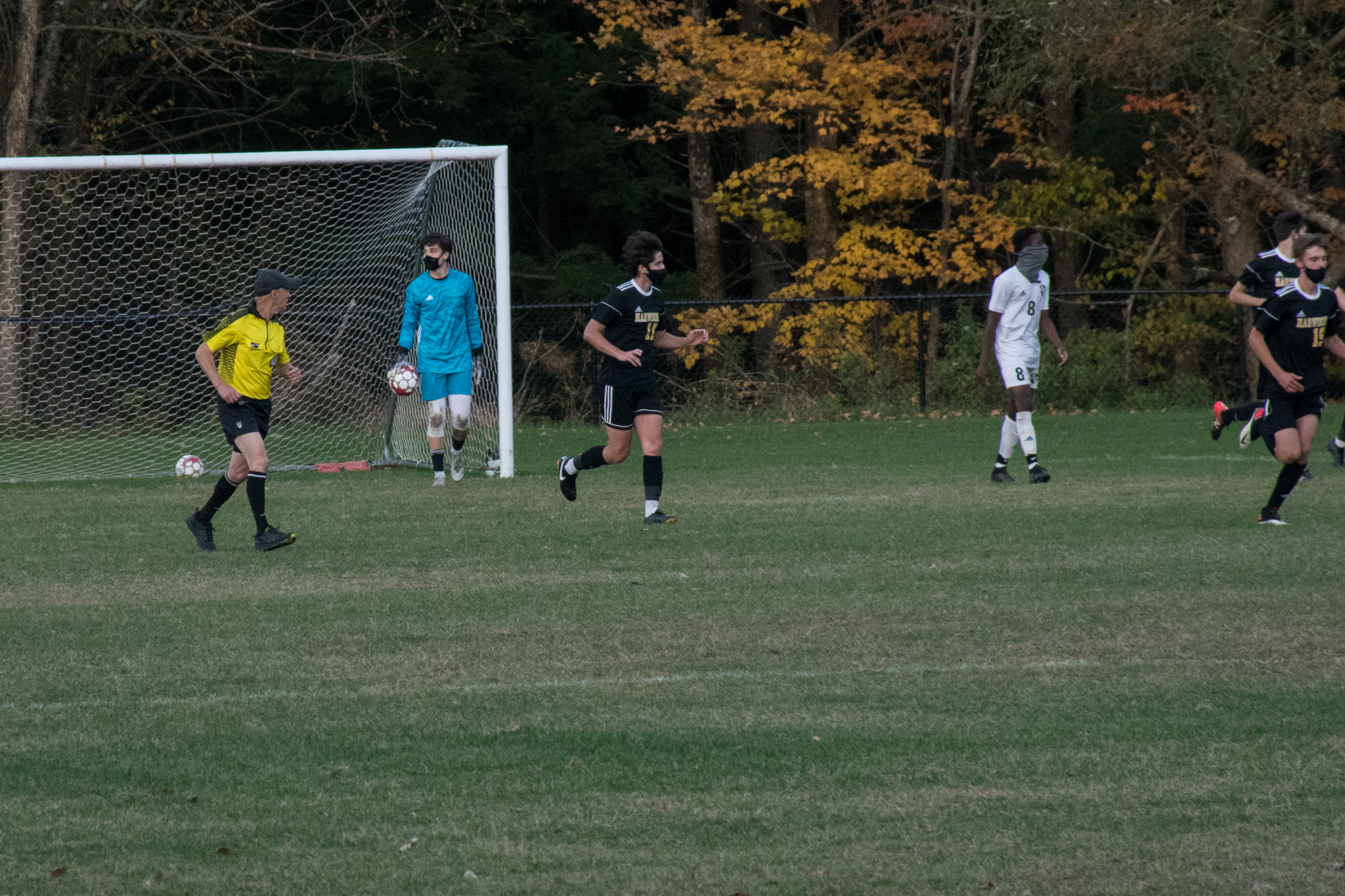 Harwood goalie Jake Collier came up big against his former club. Photo: Jeff Knight